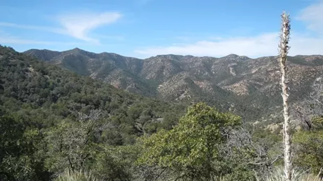 Image: A Celebration of Wilderness