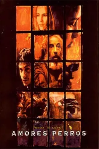 Image: Amores Perros