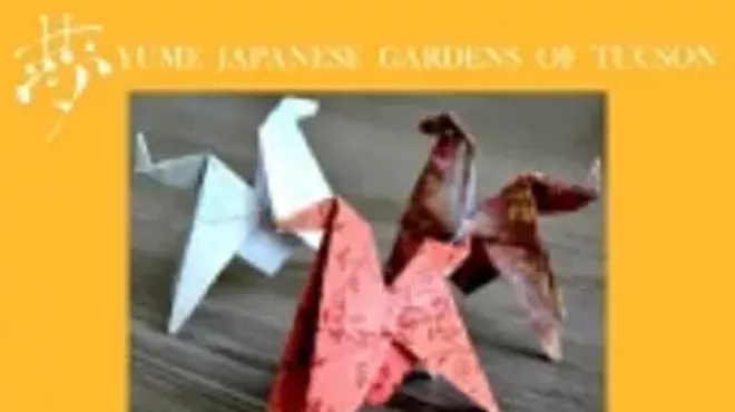 Image: An Enchanted Evening at the Gardens