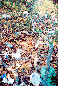 Image: Images From the Battleground