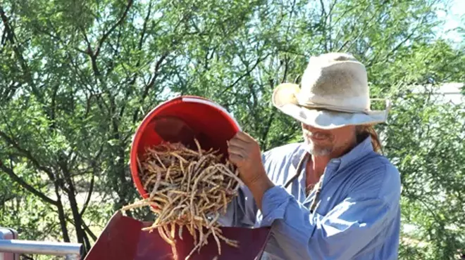 Image: Arivaca Fall Harvest Festival