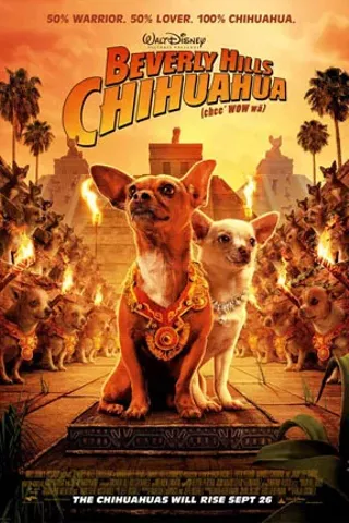 Image: Beverly Hills Chihuahua