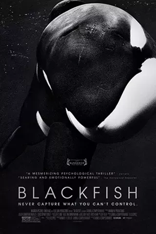 Image: Blackfish