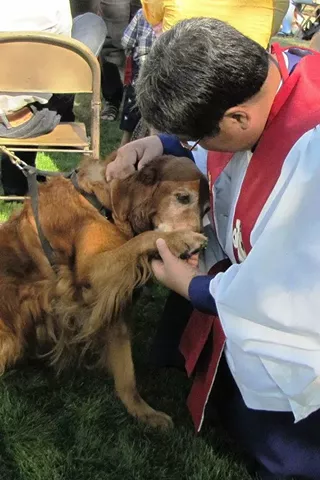 Image: Blessing of the Animals Service
