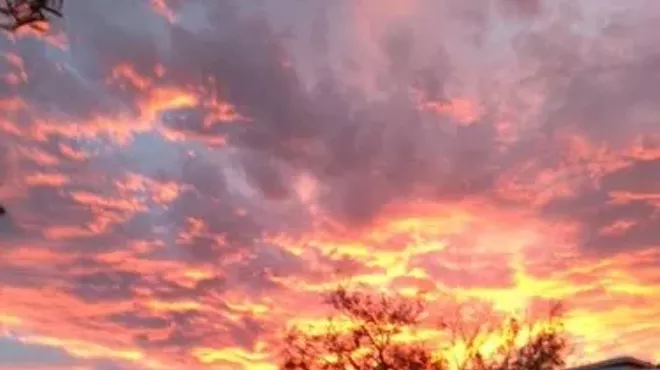 Image: Book Signing with Lynn Romaine