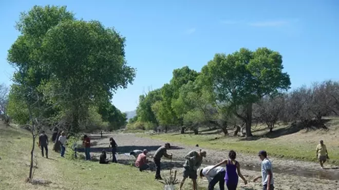 Image: Borderlands Restoration