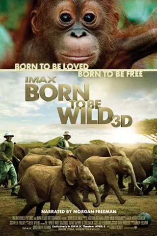 Image: Born to Be Wild 3D