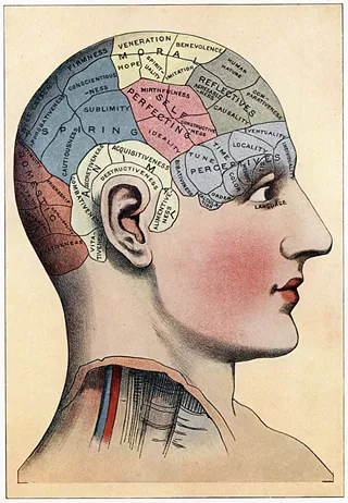 Image: Brain Week