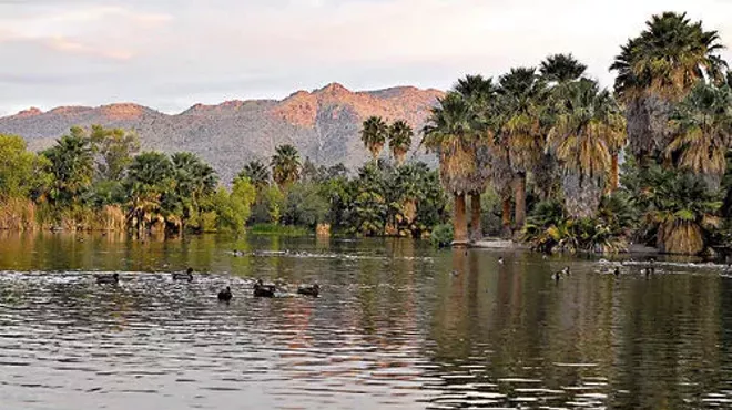 Image: Call for Volunteers: Agua Caliente Park
