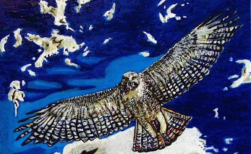 5f765478_jeff_litvak.dream_flight_cropped.72dpi.webp