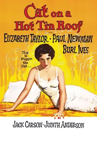 Image: Cat on a Hot Tin Roof
