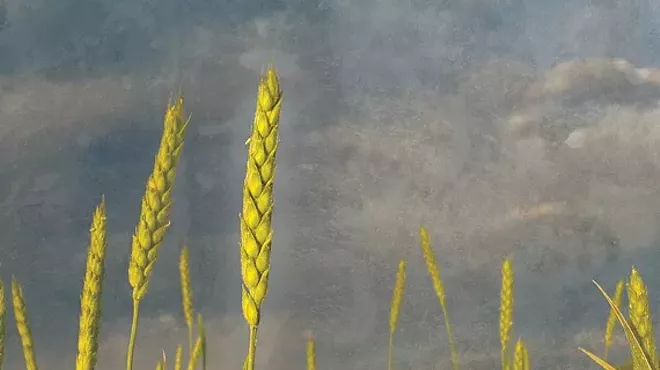Image: Celebrate Heritage Grains