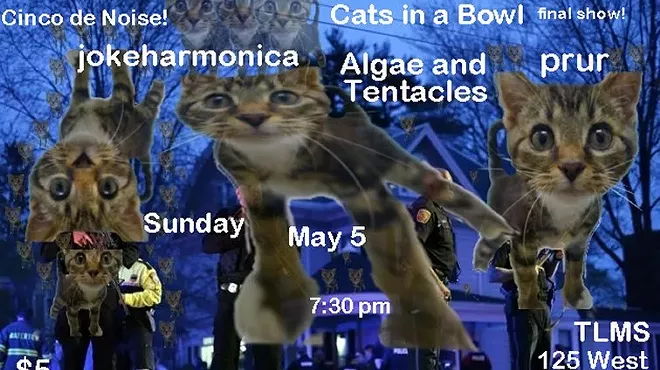 Image: Cinco de Noise! feat. Cats In A Bowl w/Algae and Tentacles, Jokeharmonica & Prur
