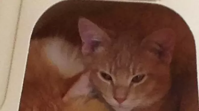 Image: Craft & Plant Sale