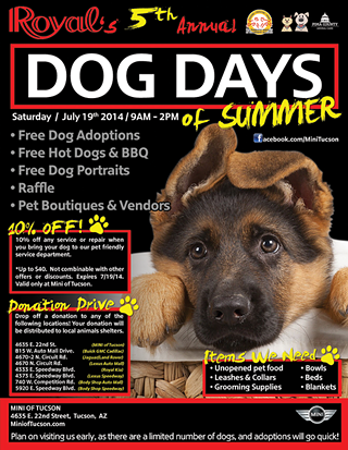 Image: Dog Days of Summer