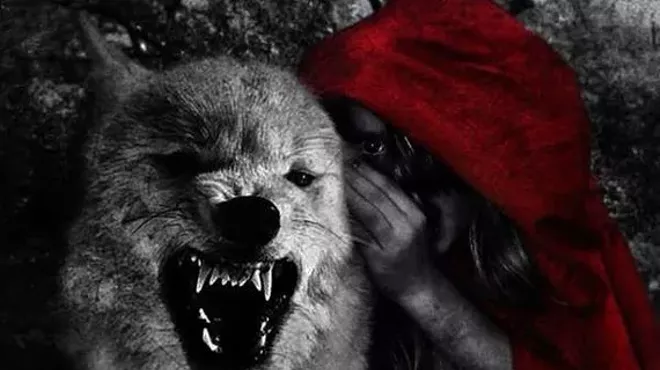 Image: Dog Fashion Disco