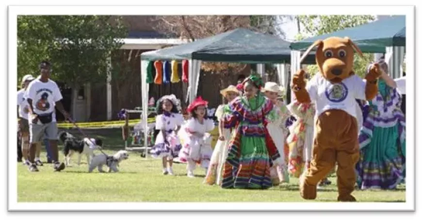 dogtoberfest.webp