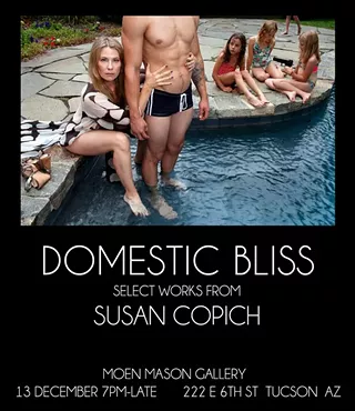 Image: Domestic Bliss selected works from Susan Copich
