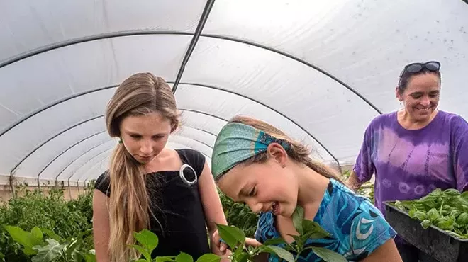 Image: Earth Harmony Festival