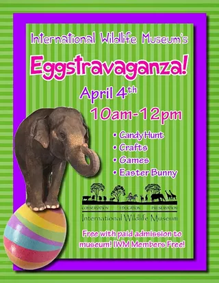 Image: Eggstravaganza!