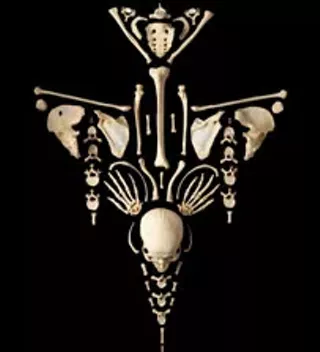 Image: Etherton Gallery