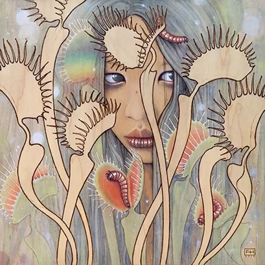 Fay Helfer, Dionaea, 12"x12"