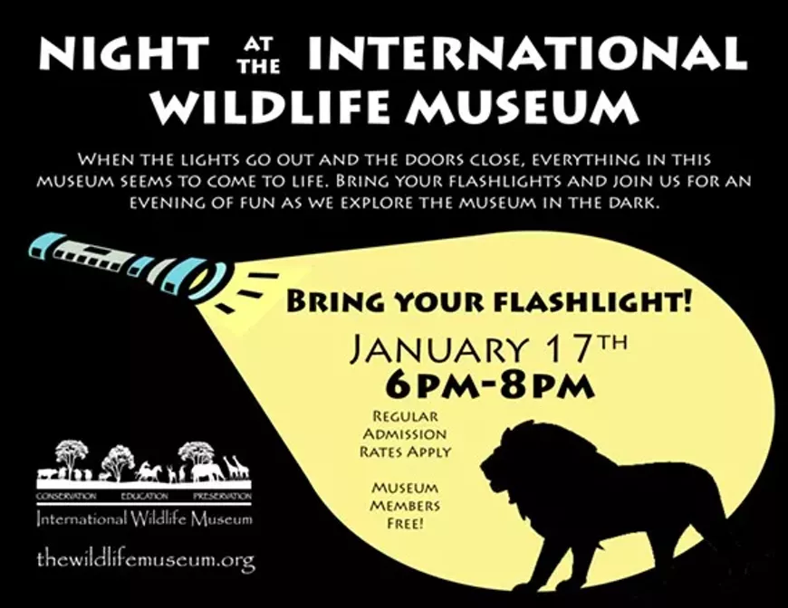 47d72775_night-at-museum-january.webp