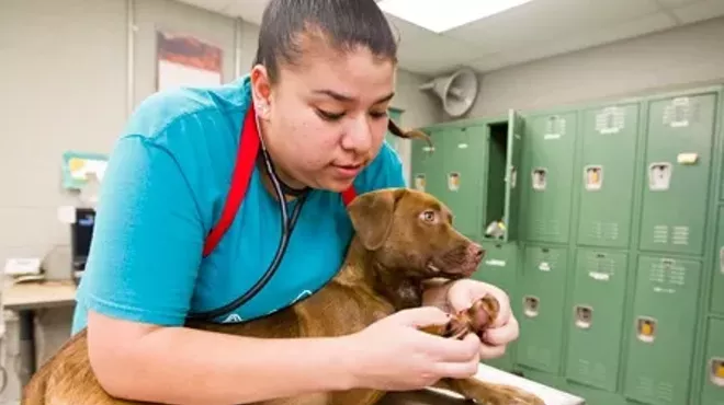 Image: Free Pet Vaccination, Wellness Clinic for 100 Patrons