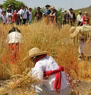 Image: San Ysidro Festival - Tucson's Traditional Farmers' Festival
