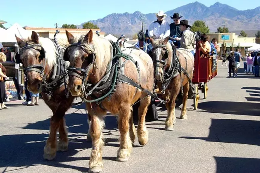Horse-drawn trolleys