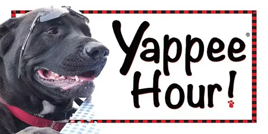 d0aff543_yappee_hourtm2.webp