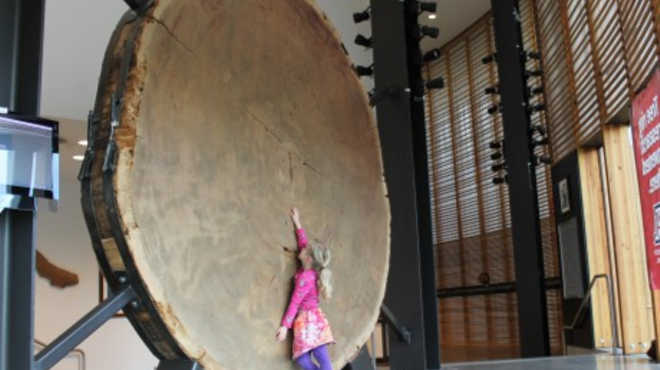 Image: Laboratory of Tree-Ring Research Fall 2014 Saturday Lecture Series
