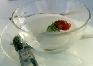 Image: Making Flower Essences from Your Garden and Yard