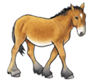 Image: Equine Voices Rescue & Sanctuary's 1st Annual Spring Festival