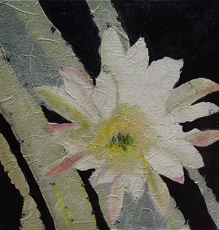 Image: Mysteries: Three Tucson Artists Explore Color and Form