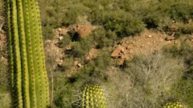 Image: Organ Pipe Waives Fees for July