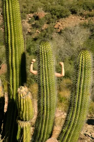 Image: Organ Pipe Waives Fees for July