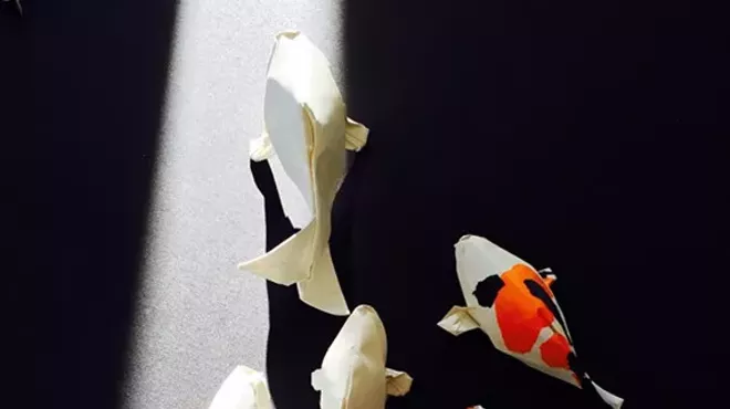 Image: Origami! by M. Craig