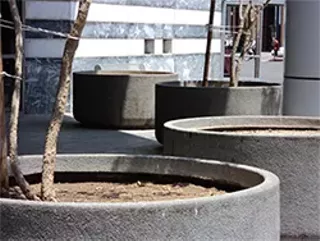 Image: Plaza Planter Project Work Party