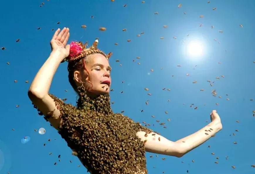 8fdc321a_queenofthesun_web_rgb.webp