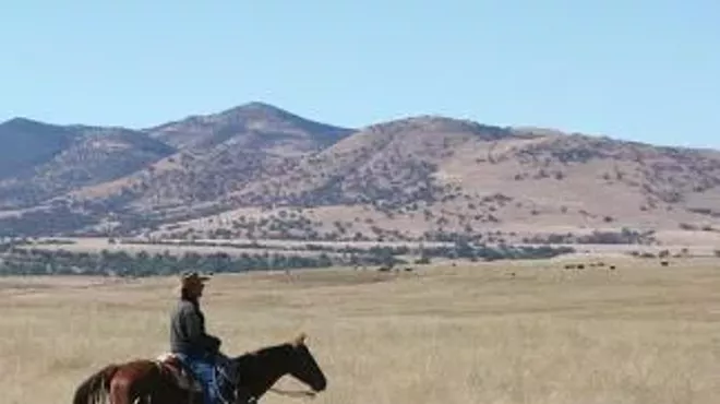 Image: Richard Collins Book Talk & Signing