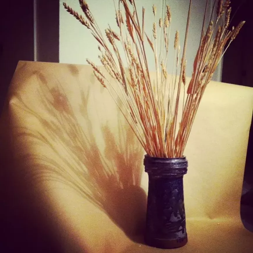 Sarah Horn "Standing the test of time" Ceramic with raku glaze and local Sonoran white wheat