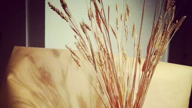 Image: Sustainable Culture: A Community Driven Art Show