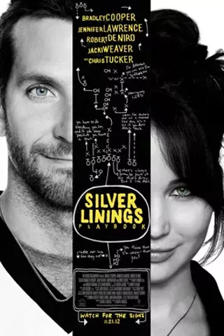Image: Silver Linings Playbook