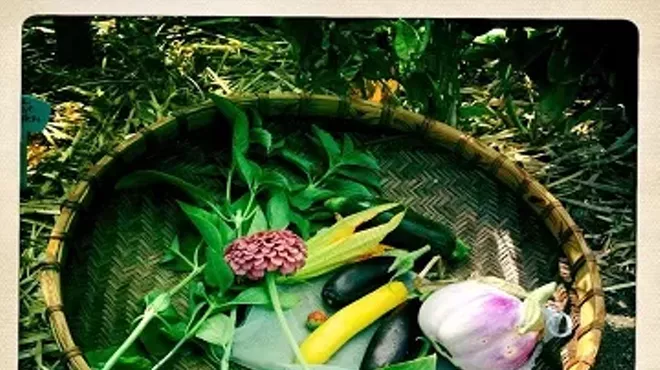 Image: Summer Seed Repacking