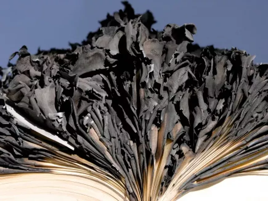 burned_book.webp