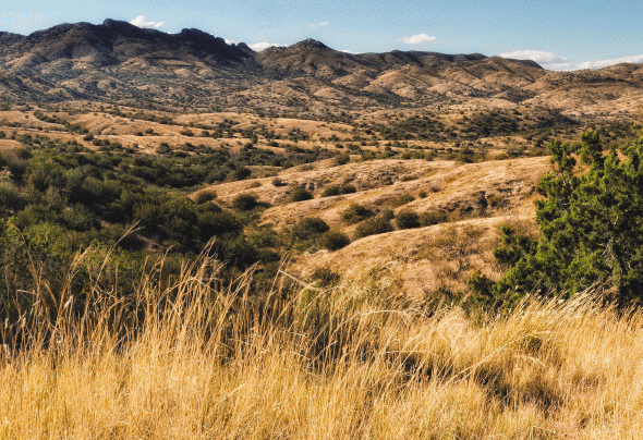 Image: Images from Lens on the Land