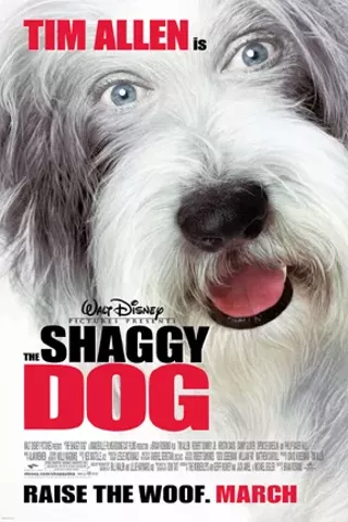 Image: The Shaggy Dog