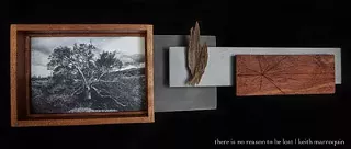 Image: Sleeping in the house of light: reflections on the Sonoran Desert - the artwork of Keith Marroquin