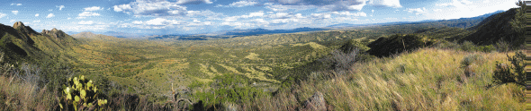 Image: Images from Lens on the Land